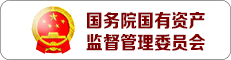国务院国有资产监督治理委员会